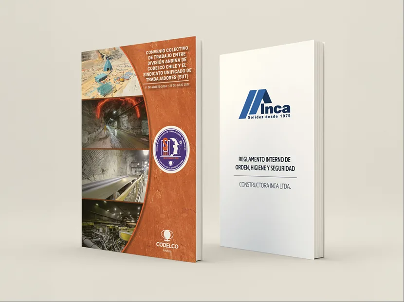 Reglamentos internos y convenios colectivos